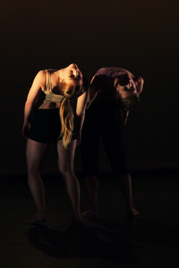 Suse Tietjen's Brother of Sleep © Eulanda Shead