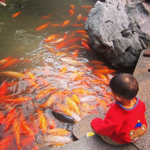 Little boy playing with fish at Shanghai's Yuyuan Gardens
